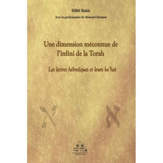 UNE DIMENSION MECONNUE DE L'INFINI DE LA TORAH - HILLEL BAKIS