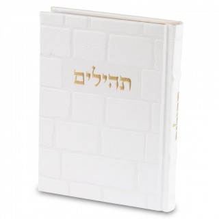TEHILIM SIMILI CUIR