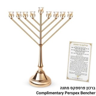 MENORAH HABAD METAL