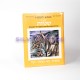 HOUMACH LATALMID - SHAHAR YONAI HOUMACH LATALMID - SHAHAR YONAI