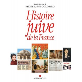 HISTOIRE JUIVE DE LA FRANCE - ALBIN MICHEL