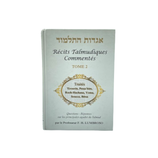 RECITS TALMUDIQUES COMMENTES - VOL 7